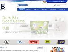 Tablet Screenshot of brightpancar.com.my